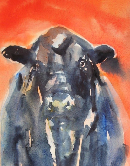 Jane McIntosh|  bull orange| watercolour | McAtamney Gallery and Design Store | Geraldine NZ